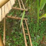 Pair of bamboo deck chairs, deckchairs