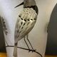 Vase Daum Nancy France - Oiseau Branché Réserve with acid enhanced with black enamel