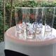 6 vintage cocktail glasses