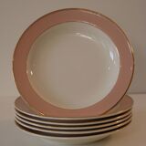 6 vintage rose gold Villeroy & Boch soup plates