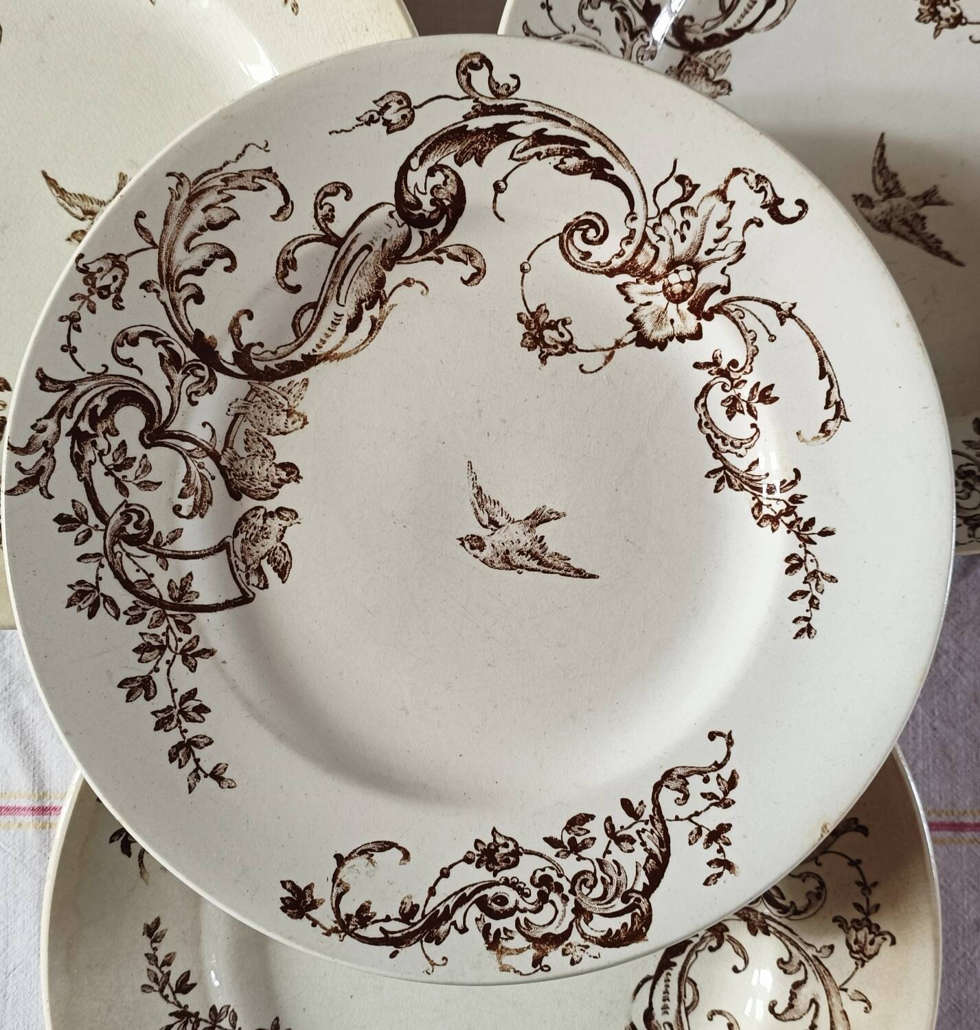 Brown bird flat plates