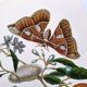 Vintage illustration Bitter orange tree and Atlas butterfly by Merian