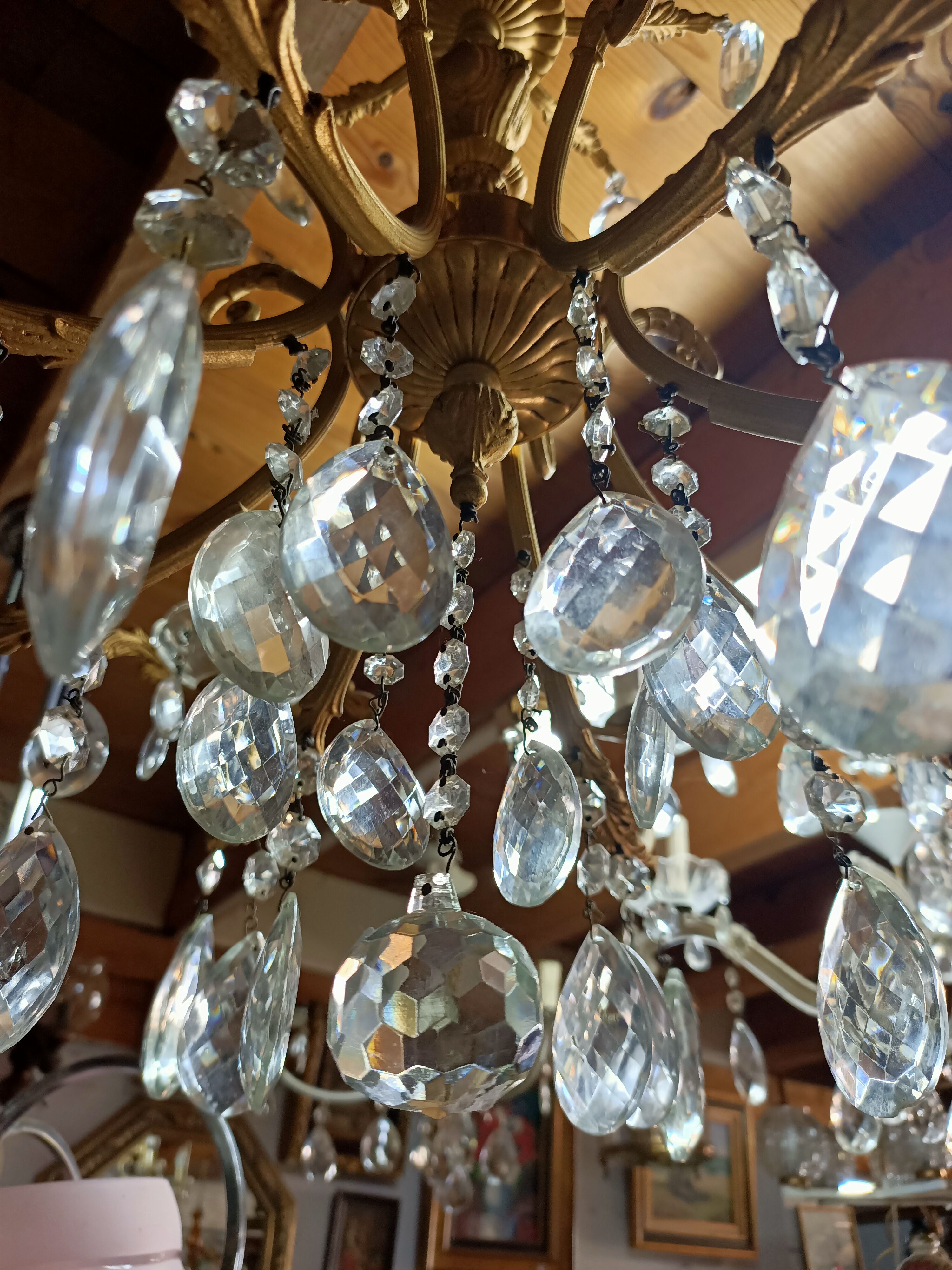 Grape variety chandelier