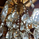 Grape variety chandelier