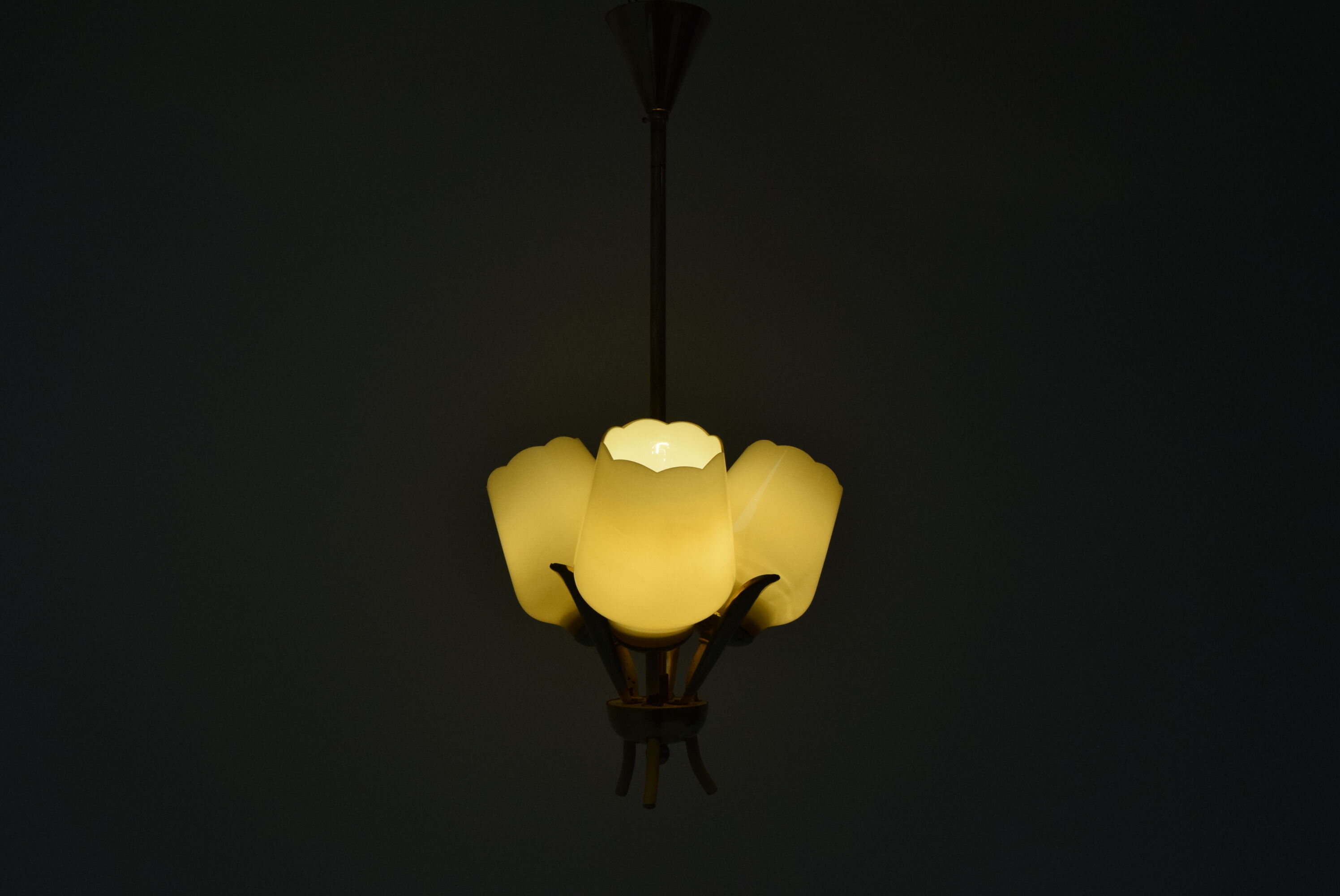 Mid-century Chandelier,Czechoslovakia,1960