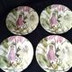 4 dessert plates in fine English earthenware Royal Stafford