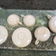 Former breakfast service at the earthenware bed with tray