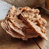 Rose des sables