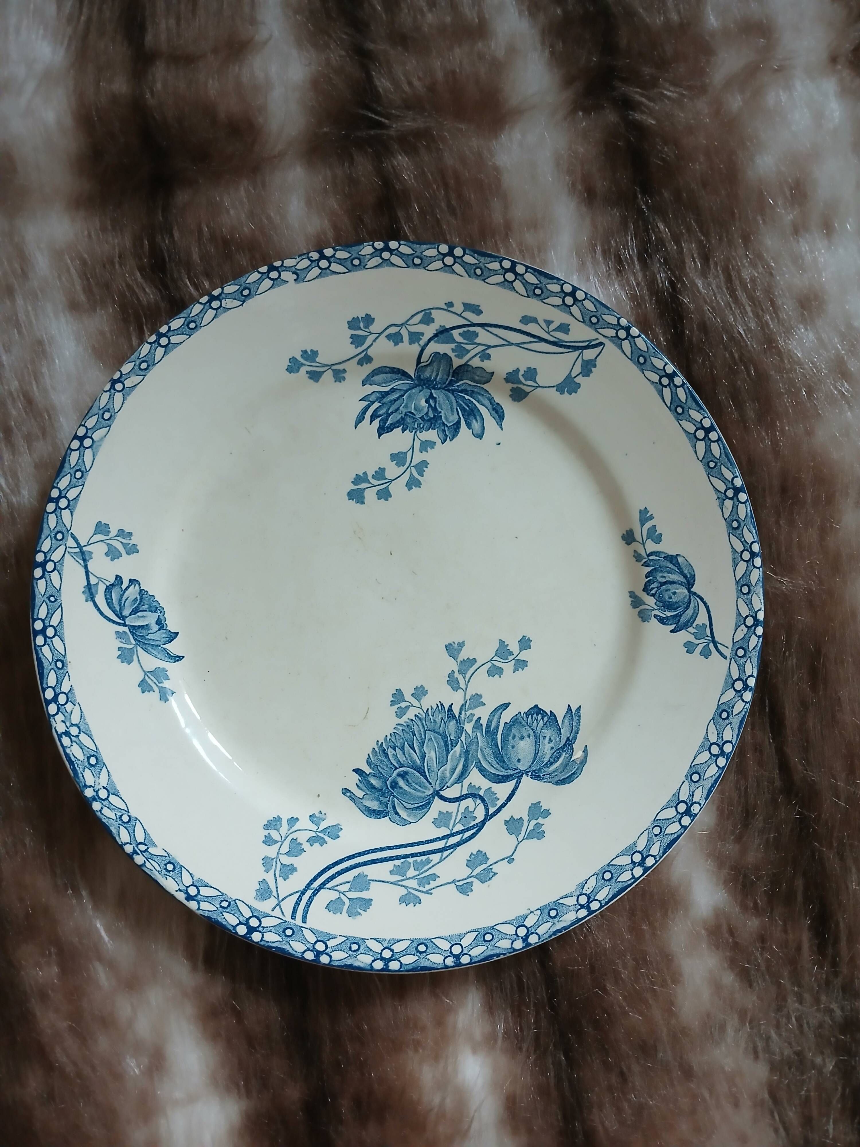 10 antique flat plates in ironstone