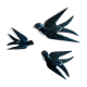 Three old wooden wall swallows