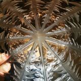 Dish by René Lalique, model "Dandelions", in patinated glass