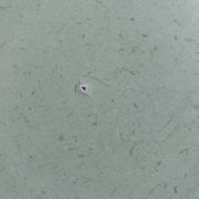 Table de bistrot pieds art deco et Formica
