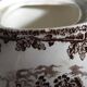 Creamer set / Milk jug and sugar bowl Myotts Country Life