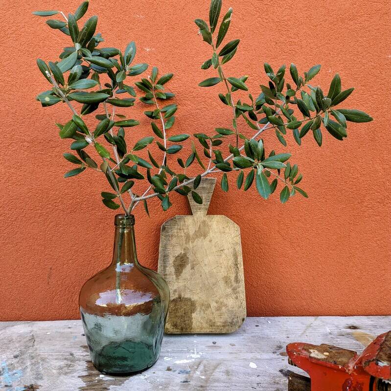 Lady Jeanne Viresa - 2 liters