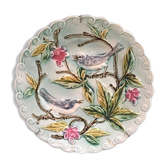 Bird plate in dabbling