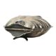 Silver-Plated Shell Butter Dish Caviar Holder Made in England