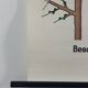 Vintage educational wall hanging roll chart biology plants
