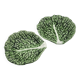 cabbage leaf cups – Secla