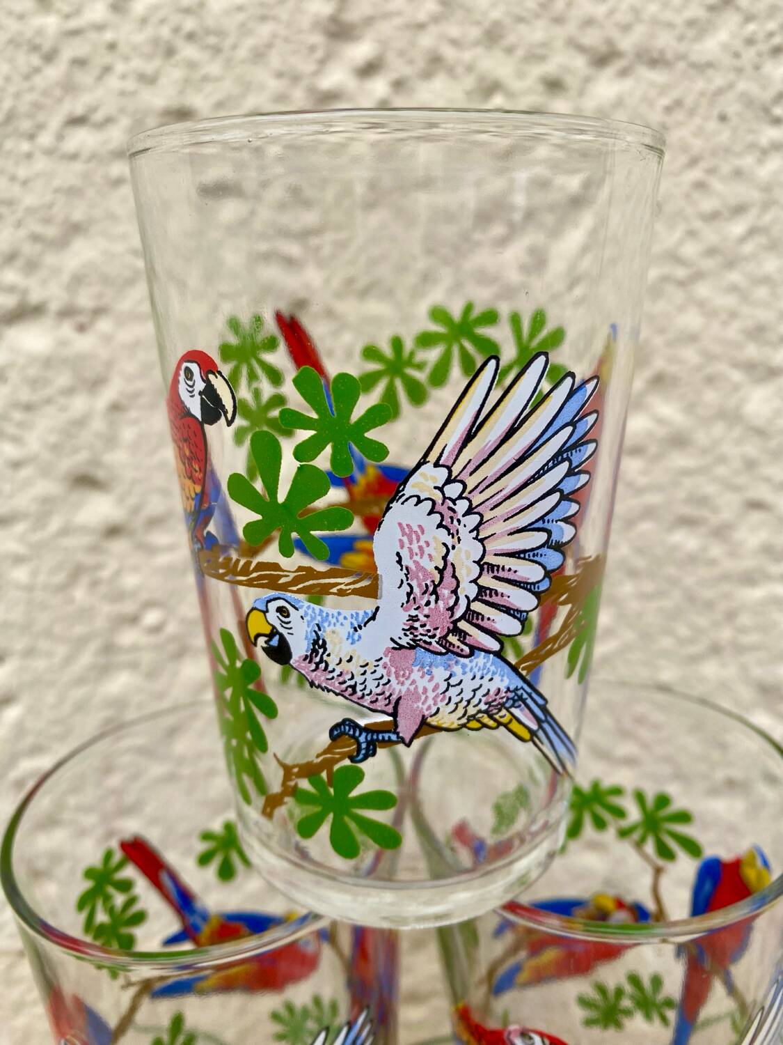 Six vintage parakeet glasses