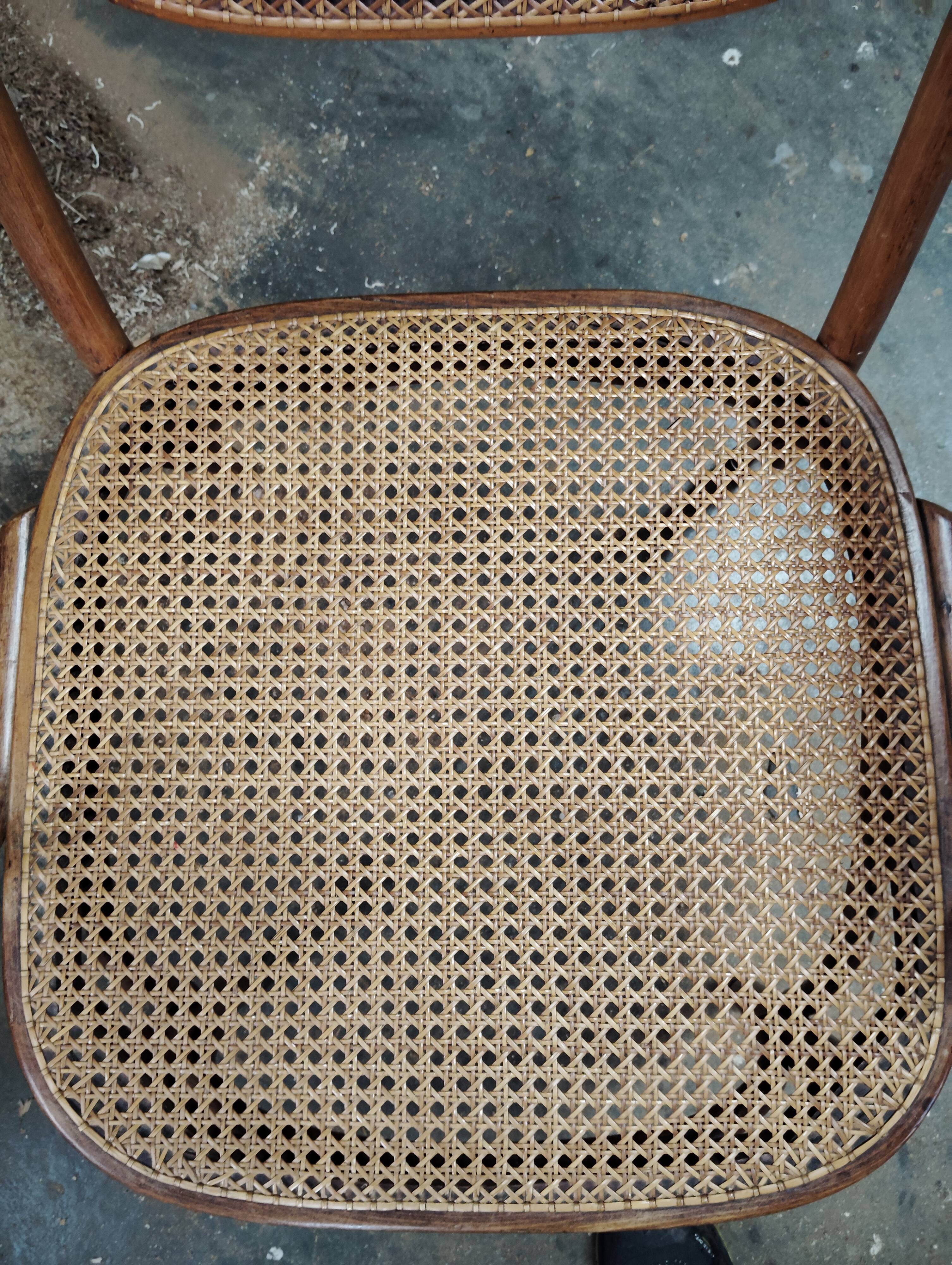 Bentwood and cane armchair attributed to Thonet.