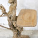 Lampadaire en bois brut