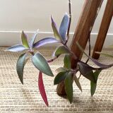 Tripod stool or plant holder