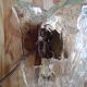 Pair of vintage Murano glass sconces, 70s