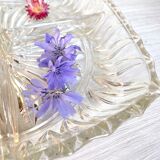 Glass dish with compartments