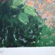 Nancy delouis: the provençal garden in spring, original signed lithograph