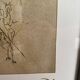 Salvador Dalí – The Angel of Alchemy | Limited Edition Silk Screen Print