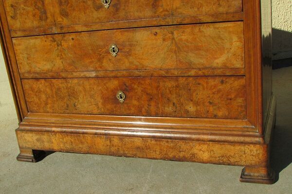 Louis Philippe chest of drawers in Elm and magnifying glass to Elm