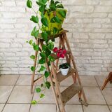 Painter's stepladder