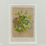 Framed botanical illustration - hawthorn &co
