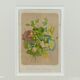 Framed botanical illustration - hawthorn &co