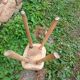 Antique stool in raw wood