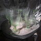Green Relief Foot Glasses (set of 6)