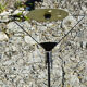 Carlo Forcolini Polifemo lamppost!