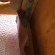 Series of four baumann sleigh chairs