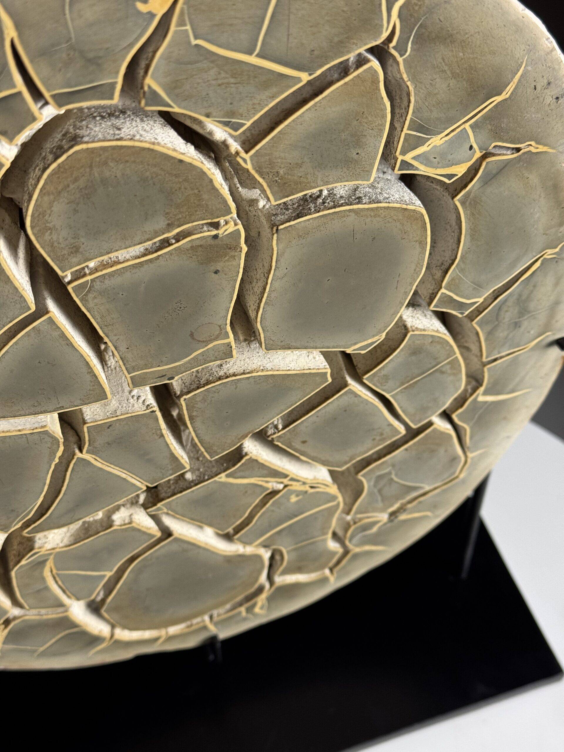 Septarian nodule on stand