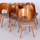 Set of Six Restored Mid-Century Modern Chairs, Beech, Czechia, 1950-1959
