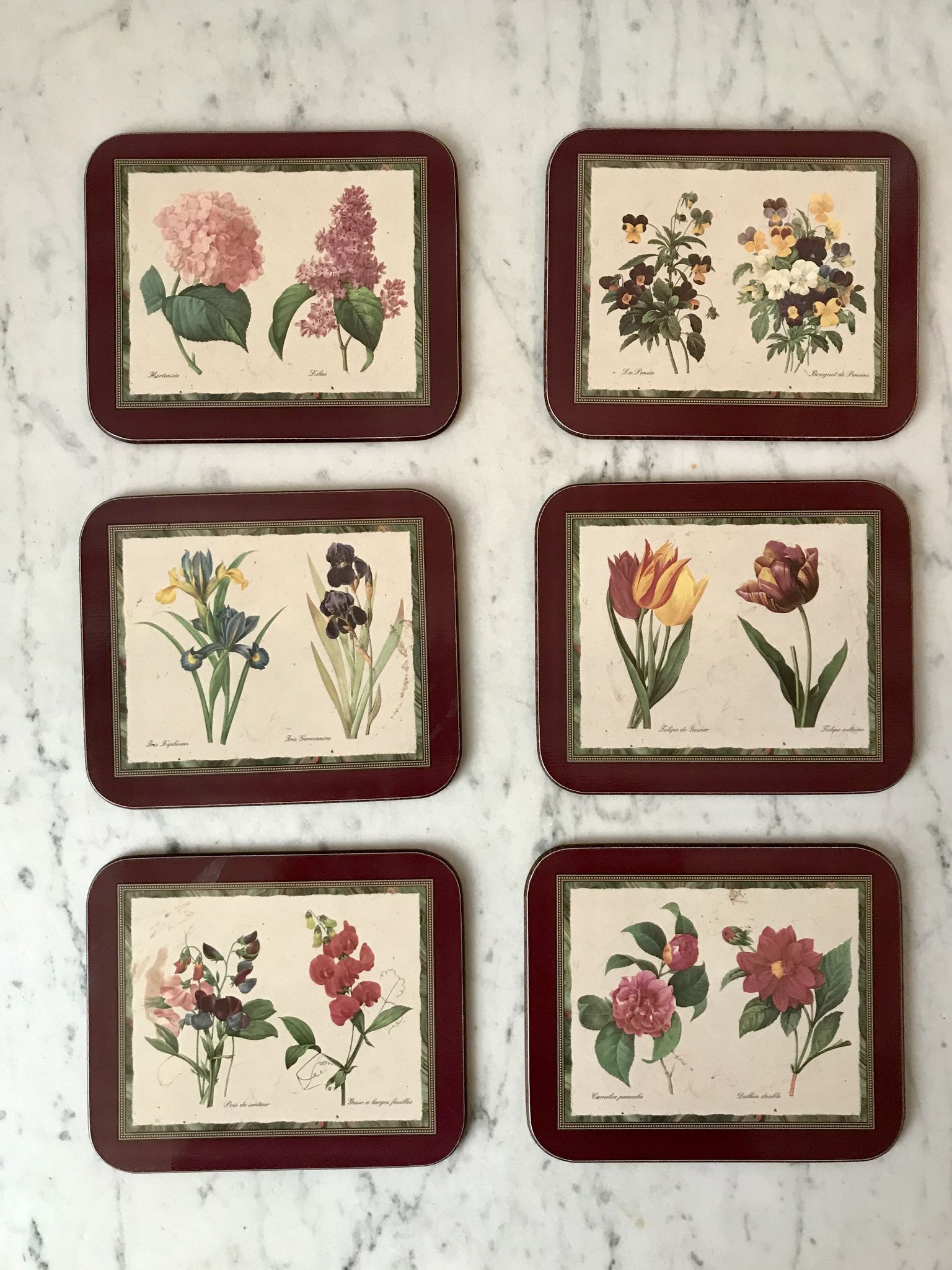 6 coasters Jason Coasters flowers Made in New Zealand (1963)