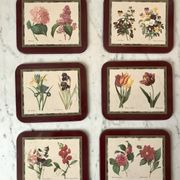 6 coasters Jason Coasters flowers Made in New Zealand (1963)