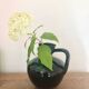 Accolay Vase