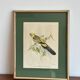 cadre oiseau