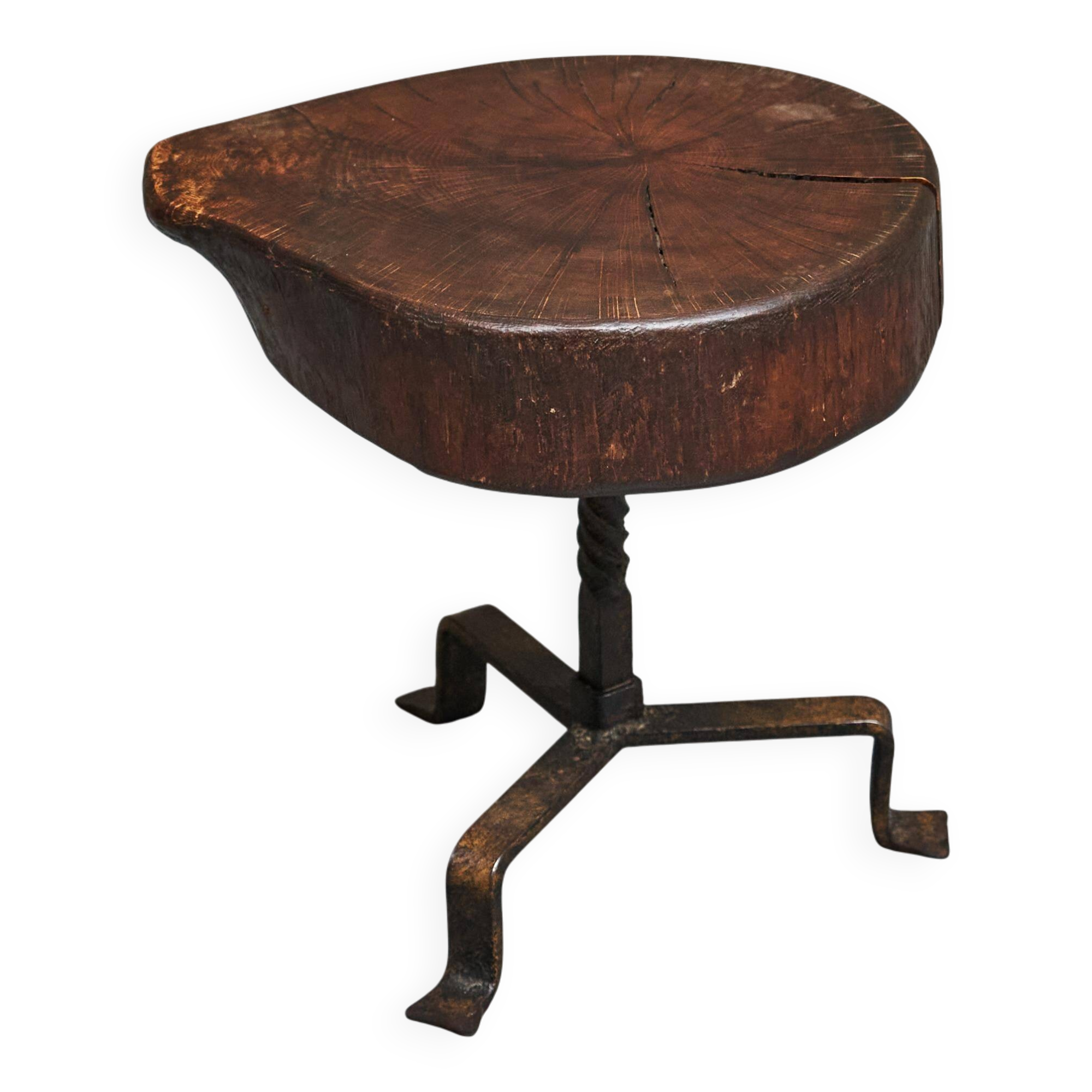 Tree Stump Stool or Solid Wood and Wrought Iron Side Table, Mid-Century