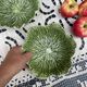 Petits saladiers en barbotine chou
