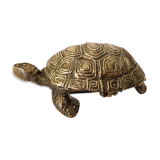 Turtle boîte