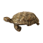 Turtle boîte
