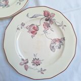 Vintage blue pink green dinner plates