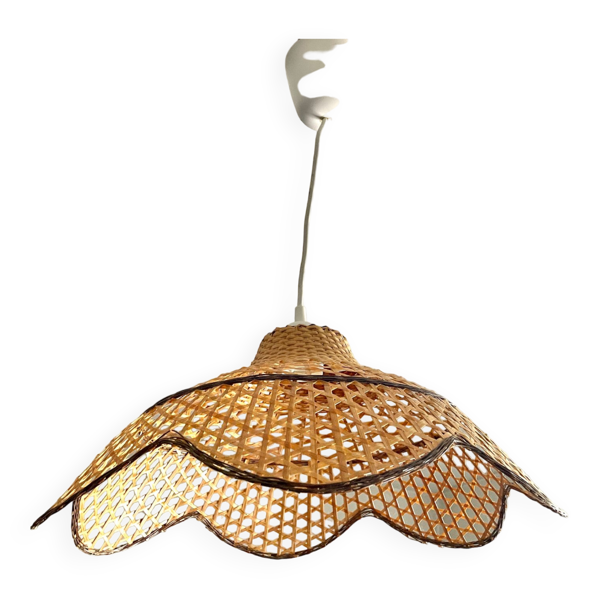 Canning suspension 1970